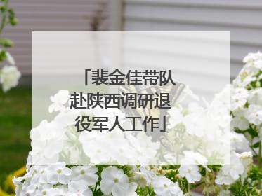 裴金佳带队赴陕西调研退役军人工作