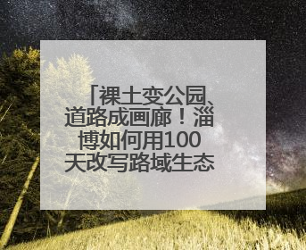 裸土变公园、道路成画廊！淄博如何用100天改写路域生态版图？