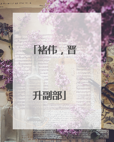 褚伟，晋升副部