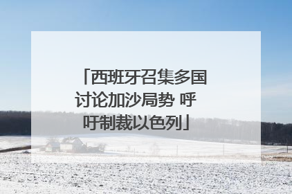 西班牙召集多国讨论加沙局势 呼吁制裁以色列