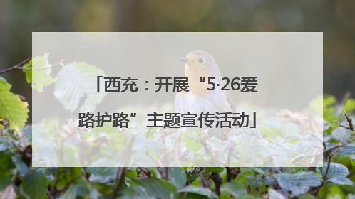 西充：开展“5·26爱路护路”主题宣传活动