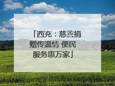 西充：慈善捐赠传温情 便民服务惠万家