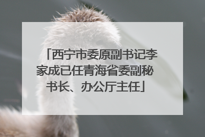 西宁市委原副书记李家成已任青海省委副秘书长、办公厅主任