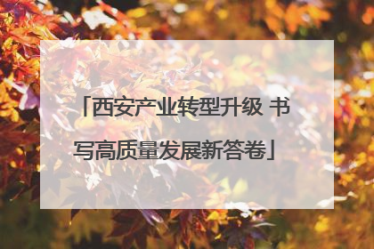 西安产业转型升级 书写高质量发展新答卷