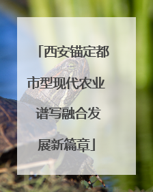 西安锚定都市型现代农业 谱写融合发展新篇章