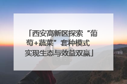 西安高新区探索“葡萄+蔬菜”套种模式 实现生态与效益双赢