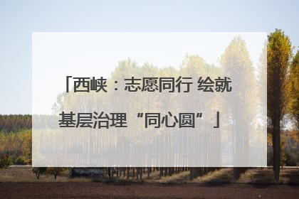 西峡：志愿同行 绘就基层治理“同心圆”