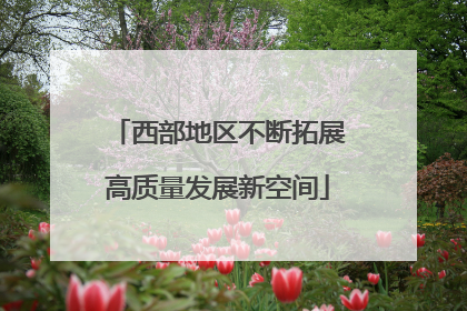 西部地区不断拓展高质量发展新空间