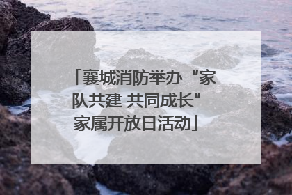 襄城消防举办“家队共建 共同成长”家属开放日活动