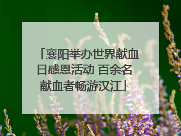 襄阳举办世界献血日感恩活动 百余名献血者畅游汉江