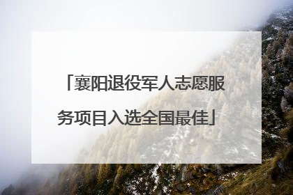 襄阳退役军人志愿服务项目入选全国最佳