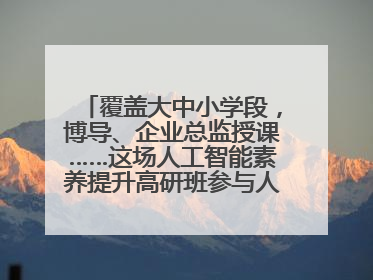 覆盖大中小学段，博导、企业总监授课……这场人工智能素养提升高研班参与人次达30万
