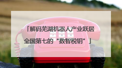 解码芜湖机器人产业跃居全国第七的“数智税钥”
