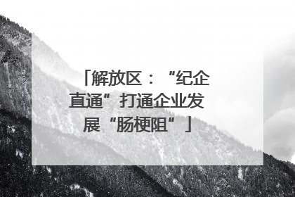 解放区：“纪企直通”打通企业发展“肠梗阻”