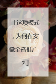 这项模式，为何在安徽全省推广？