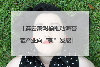连云港赣榆推动海苔老产业向“新”发展