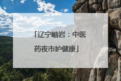 辽宁岫岩：中医药夜市护健康