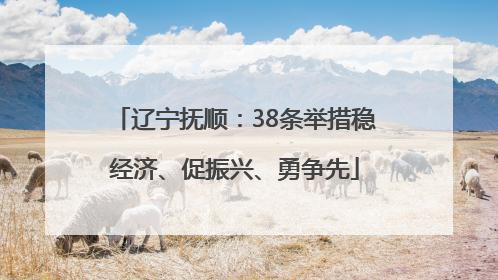 辽宁抚顺：38条举措稳经济、促振兴、勇争先