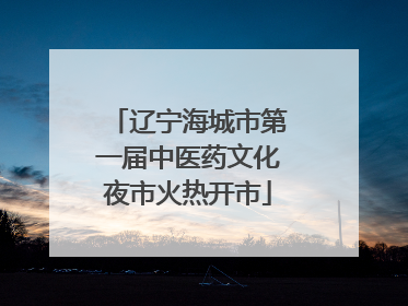 辽宁海城市第一届中医药文化夜市火热开市