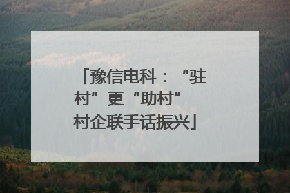 豫信电科：“驻村”更“助村” 村企联手话振兴