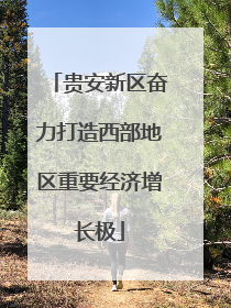 贵安新区奋力打造西部地区重要经济增长极