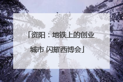 资阳：地铁上的创业城市 闪耀西博会