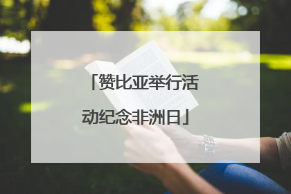 赞比亚举行活动纪念非洲日