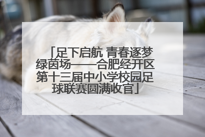 足下启航 青春逐梦绿茵场——合肥经开区第十三届中小学校园足球联赛圆满收官