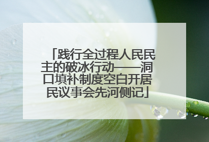 践行全过程人民民主的破冰行动——洞口填补制度空白开居民议事会先河侧记