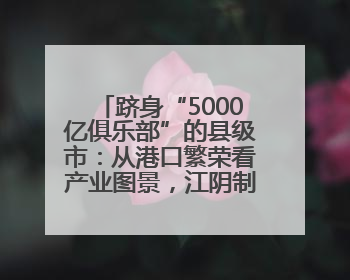 跻身“5000亿俱乐部”的县级市：从港口繁荣看产业图景，江阴制造链通全球
