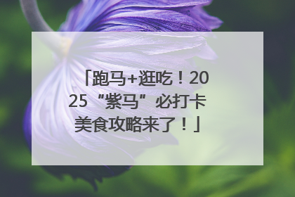 跑马+逛吃！2025“紫马”必打卡美食攻略来了！