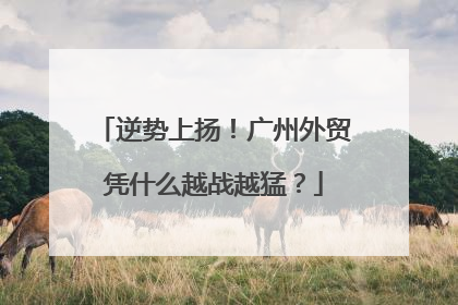 逆势上扬！广州外贸凭什么越战越猛？