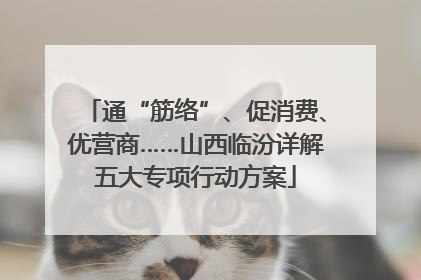 通“筋络”、促消费、优营商……山西临汾详解五大专项行动方案