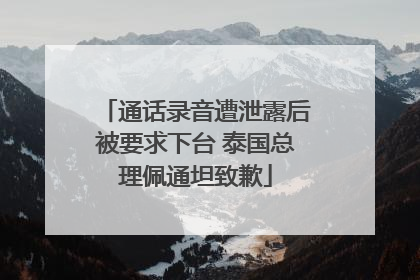 通话录音遭泄露后被要求下台 泰国总理佩通坦致歉