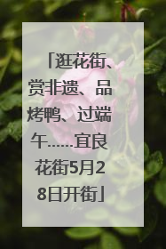 逛花街、赏非遗、品烤鸭、过端午……宜良花街5月28日开街