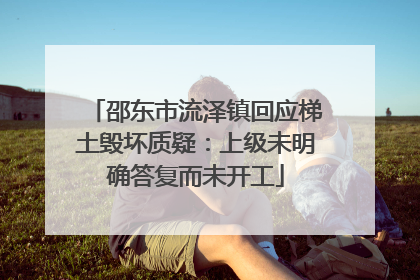 邵东市流泽镇回应梯土毁坏质疑：上级未明确答复而未开工