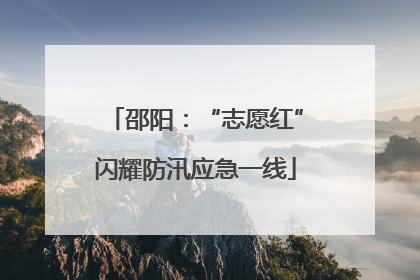 邵阳：“志愿红”闪耀防汛应急一线