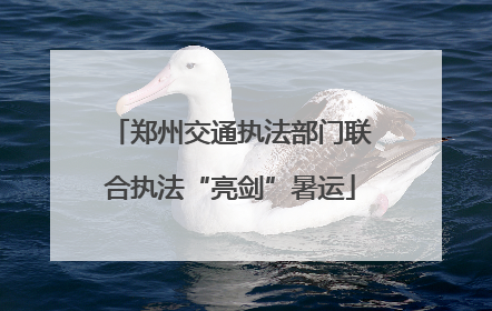 郑州交通执法部门联合执法“亮剑”暑运