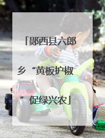 郧西县六郎乡“黄板护椒”促绿兴农