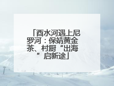 酉水河遇上尼罗河：保靖黄金茶、村厨“出海”启新途