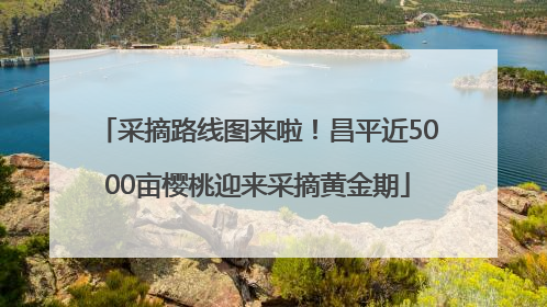 采摘路线图来啦！昌平近5000亩樱桃迎来采摘黄金期
