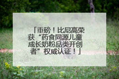 重磅！比尼高荣获“药食同源儿童成长奶粉品类开创者”权威认证！