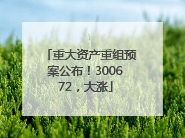 重大资产重组预案公布！300672，大涨