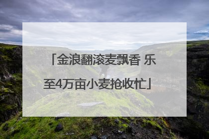 金浪翻滚麦飘香 乐至4万亩小麦抢收忙