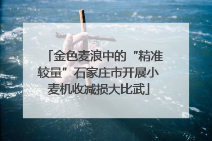 金色麦浪中的“精准较量”石家庄市开展小麦机收减损大比武
