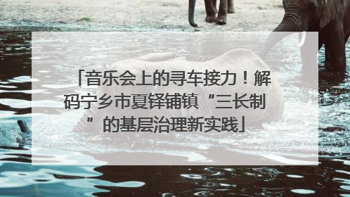 音乐会上的寻车接力！解码宁乡市夏铎铺镇“三长制”的基层治理新实践