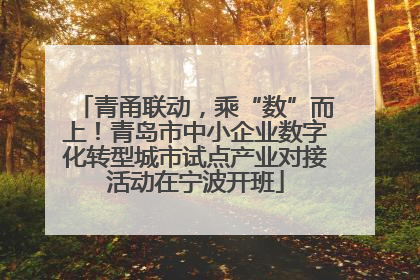 青甬联动，乘“数”而上！青岛市中小企业数字化转型城市试点产业对接活动在宁波开班