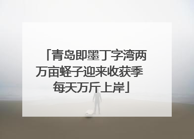 青岛即墨丁字湾两万亩蛏子迎来收获季 每天万斤上岸