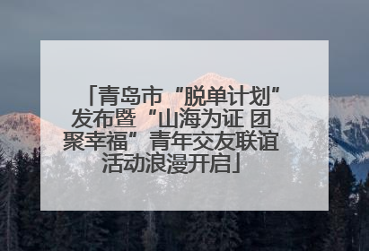 青岛市“脱单计划”发布暨“山海为证 团聚幸福”青年交友联谊活动浪漫开启