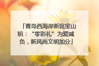 青岛西海岸新区宝山镇：“零彩礼”为爱减负，新风尚文明加分
